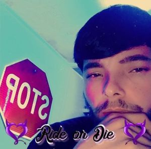 Meet your Posher, Donald